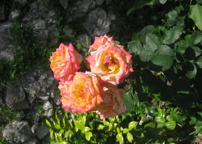 Bed and breakfast Giardini Calce - Luxury