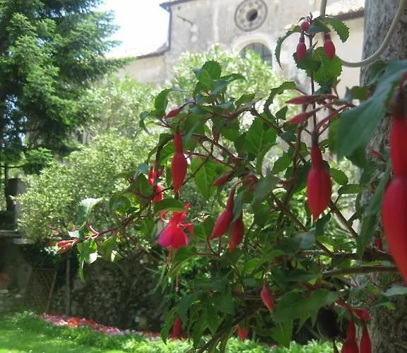Giardini Calce - Luxury Bed and breakfast 4*